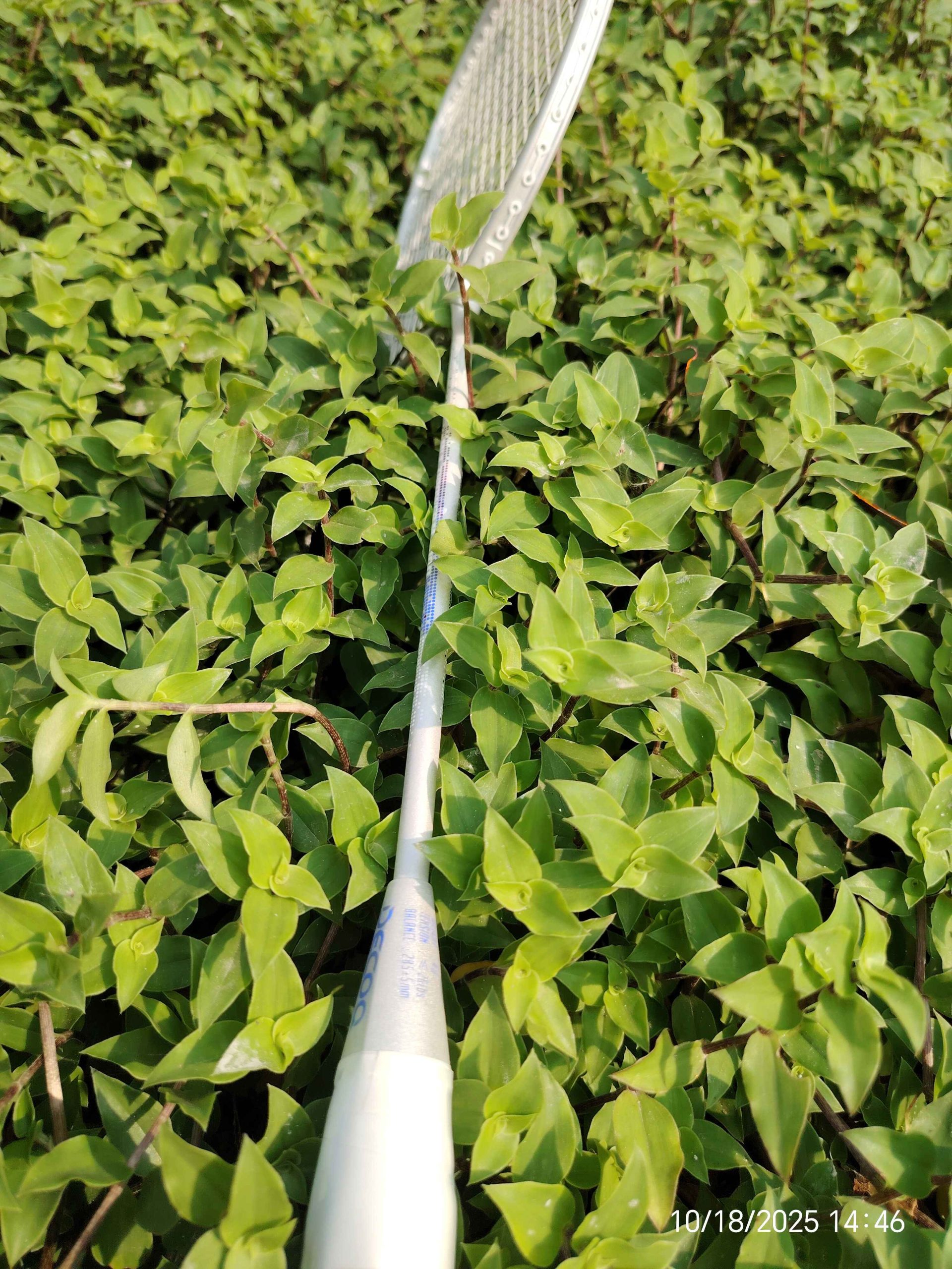 DECOQ 9000 - Image 2